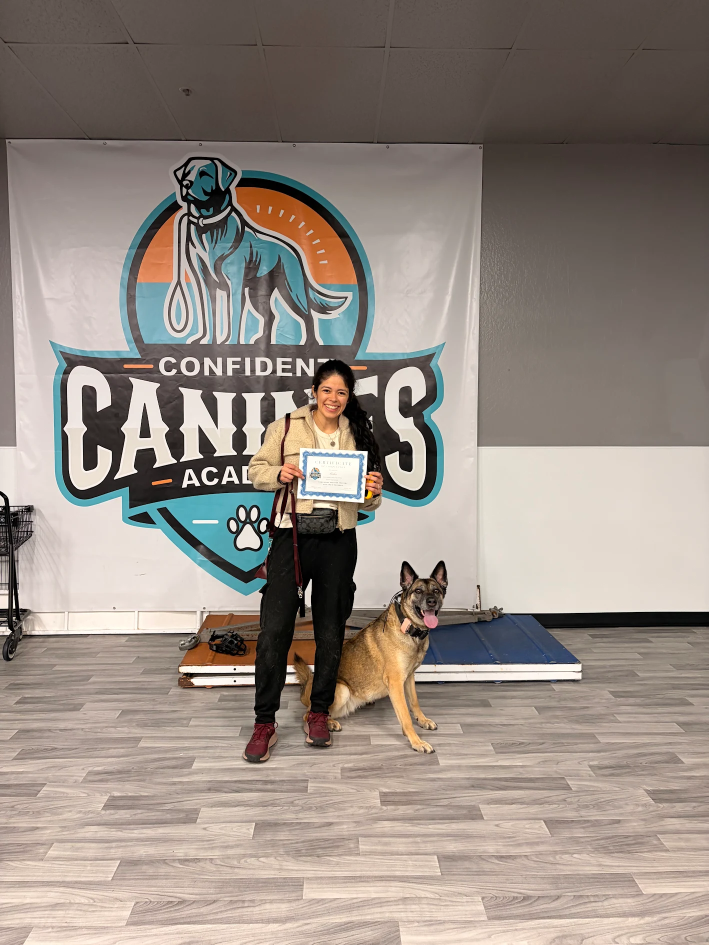 Misha, a dog trained by Confident Canines Academy for reactivity & aggression